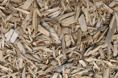 biomass boilers Haygate